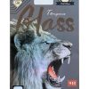LCD apsauginis stikliukas 9D Full Glue Xiaomi Redmi Note 11 Pro/Note 11 Pro Plus juodas