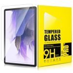 LCD apsauginis stikliukas 9H Apple iPad 10.9 2022/iPad 11 2025