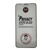 LCD apsauginis stikliukas ESD Anti-Static Privacy Apple iPhone 15 Pro